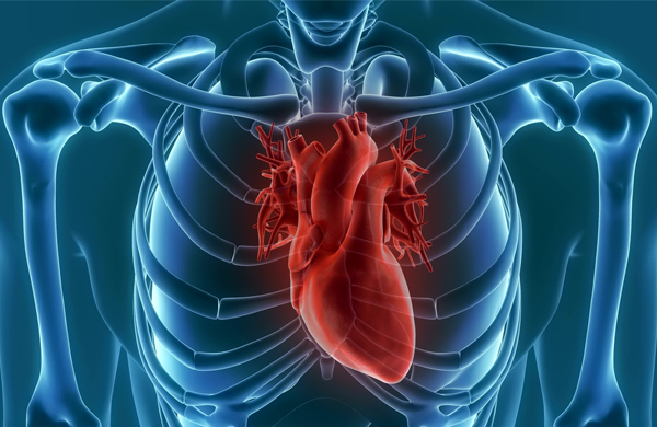 Cardiopatias congênitas em adultos – Centro de Cardiologia